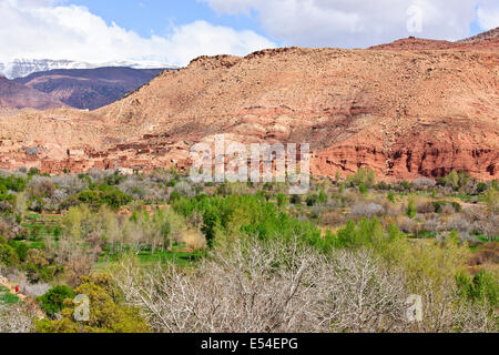 Kasbah anemiter, Asif ounila,près de aci bennhaddou,vallées fertiles vert, l'agriculture,noyer,pêchers en fleurs,Maroc Banque D'Images