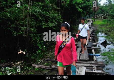 Pont traditionnel en PANGUANA . Département de Loreto .PÉROU Banque D'Images