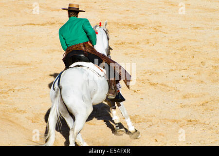 Corrida à cheval. Corrida espagnole typique. Banque D'Images