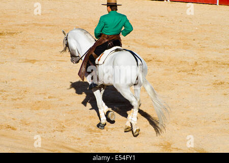 Corrida à cheval. Corrida espagnole typique. Banque D'Images