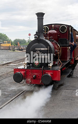 Pays de Galles talyllyn Railway Chemin de fer à vapeur moteur dolgoch Banque D'Images