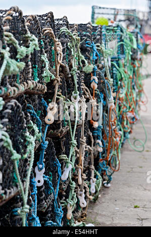 Filets de pêche sur la pêche du homard et du crabe keyside aberdovey Harbour Banque D'Images