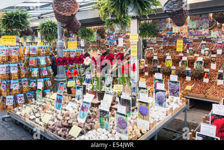 Fleurs et autres articles en vente dans le marché aux fleurs, y compris l'amaryllis et une variété de graines et bulbes Banque D'Images