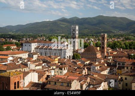 Vue sur Ville de Torre Guinigi à Duomo di San Martino de Lucques, Toscane, Italie, Europe Banque D'Images