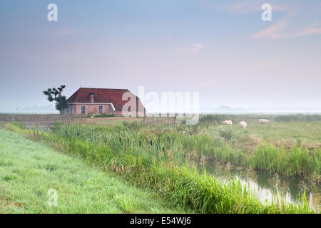 Ferme confortable au matin brumeux, Pays-Bas Banque D'Images