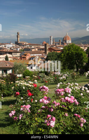 Vue sur Florence depuis le jardin de roses ci-dessous Piazza Michelangelo, Florence, Toscane, Italie, Europe Banque D'Images