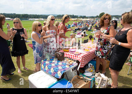 Spectateurs pique-niquer à Veuve Clicquot Gold Cup, British Open Championship, parc Cowdray Polo Polo Club, Midhurst England UK Banque D'Images