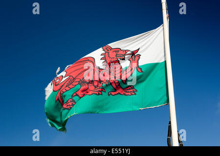 Royaume-uni, Pays de Galles, Gwynedd, péninsule de Lleyn, Aberdaron, Welsh National flag flying in wind Banque D'Images