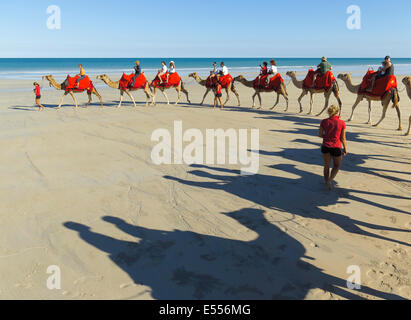 Un train de chameaux sur Cable Beach à Broome, Australie occidentale Banque D'Images