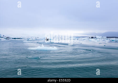 Vue panoramique sur le lagon du Glacier Jökulsárlón, Islande, guide local à petit canot en caoutchouc dans la distance Banque D'Images