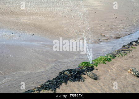 Une fuite d'un tuyau d'évacuation de pulvériser de l'eau sale sur une plage.strega Banque D'Images