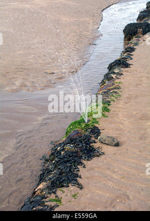 Une fuite d'un tuyau d'évacuation de pulvériser de l'eau sale sur une plage. Banque D'Images