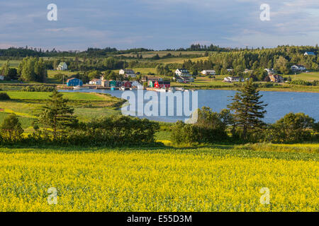 Paysage d'été avec des champs de colza et des bateaux de pêche à la rivière des Français dans le centre de Prince Edward Island, Canada Banque D'Images