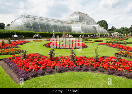 L'extérieur de Palm House à Kew Royal Botanic Gardens / Botanique / Jardin UK. Banque D'Images