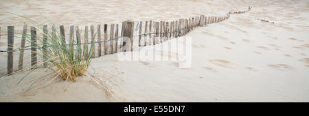 Panorama paysage de dunes de sable sur la plage au lever du soleil du système Banque D'Images