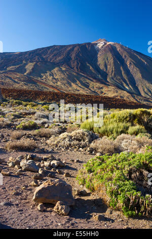 Volcan Teide et la formation de lave. Le Parc National du Teide. La Orotava, Tenerife, Canaries, Espagne, l'océan Atlantique, l'Europe. Banque D'Images