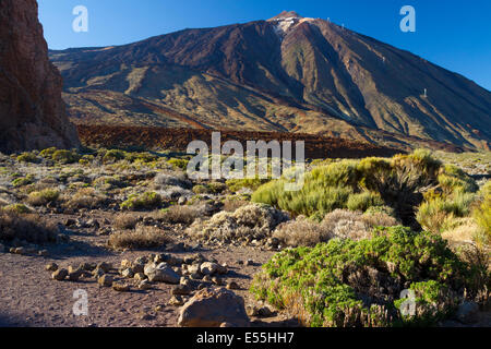 Volcan Teide et la formation de lave. Le Parc National du Teide. La Orotava, Tenerife, Canaries, Espagne, l'océan Atlantique, l'Europe. Banque D'Images