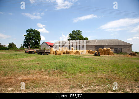 Ballots de foin récolté ronde en face de bâtiments de stockage de l'agriculteur. Zawady Pologne Banque D'Images