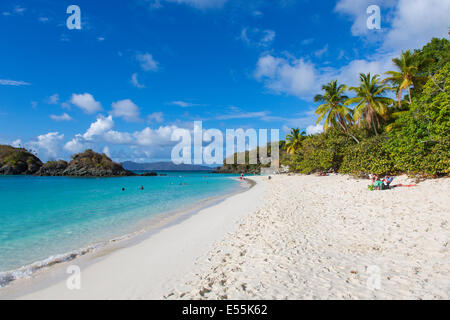 Trunk Bay et plage sur l'île des Caraïbes de St John dans les îles Vierges américaines Banque D'Images