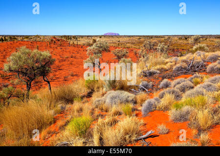 Paysage de l'outback Ayers rock Uluru rouge randonnées centrale Australie Territoire du Nord Australie Australian Banque D'Images