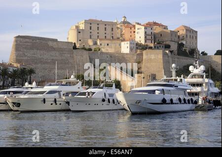 Calvi, Corse, France, le port et le 15e siècle citadelle génoise Banque D'Images