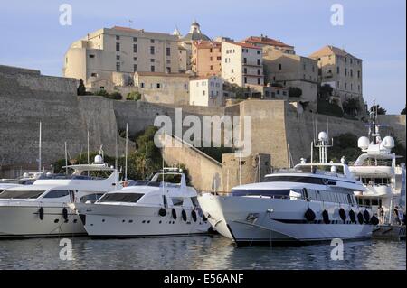 Calvi, Corse, France, le port et le 15e siècle citadelle génoise Banque D'Images