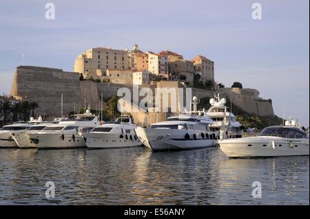Calvi, Corse, France, le port et le 15e siècle citadelle génoise Banque D'Images