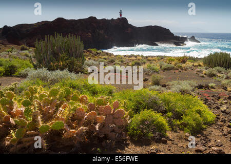 Punta Teno. Tenerife, Canaries, Espagne, l'océan Atlantique, l'Europe. Banque D'Images