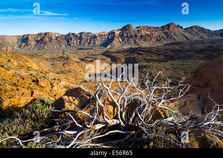 Cratère. Le Parc National du Teide. Tenerife, Canaries, Espagne, l'océan Atlantique, l'Europe. Banque D'Images