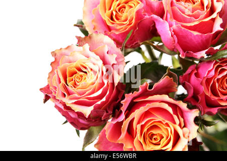 Bouquet de roses isolated over white background Banque D'Images