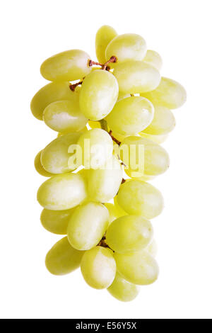 Grappe de raisins isolé sur fond blanc Banque D'Images
