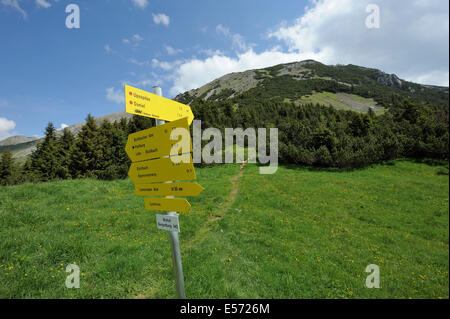 Panneaux de sentiers de randonnée de montagne à Upsspitze et Daniel, Lermoos, Autriche Banque D'Images