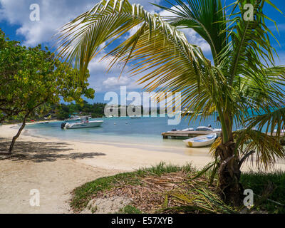 Bord de mer et port de Cruz Bay, sur l'île des Caraïbes de St John dans les îles Vierges américaines Banque D'Images