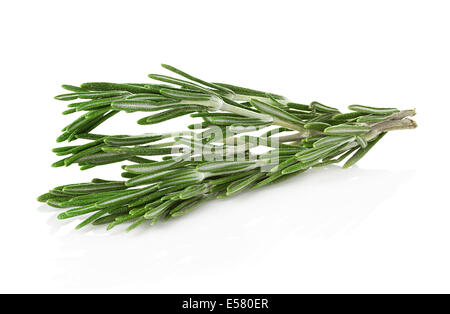 Rosemary isolé sur fond blanc Banque D'Images