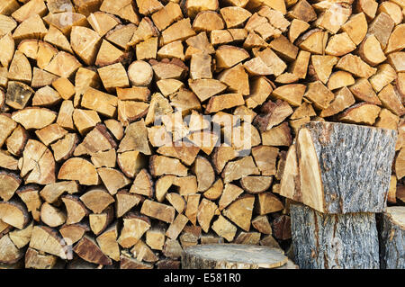 Le bois de tas avec bûches et quelques grumes Banque D'Images