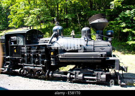 Cass Scenic Railroad State Park, West Virginia, USA Banque D'Images