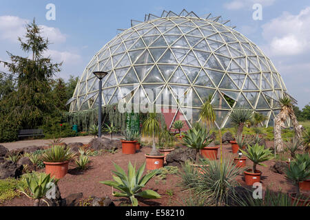 Serre Dome, Jardin botanique de l'Université Heinrich-Heine-Düsseldorf, Düsseldorf, Rhénanie-du-Nord - Westphalie, Banque D'Images