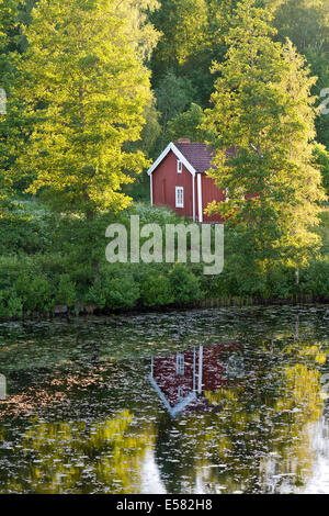 Maison Rouge et blanc sur un lac entre les bouleaux, lumière du soir, Rumskulla, Smaland, Suède Banque D'Images
