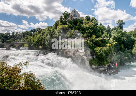 La Suisse, l'Rhinefall Schaffhausen, chutes du Rhin sur le Rhin, Banque D'Images