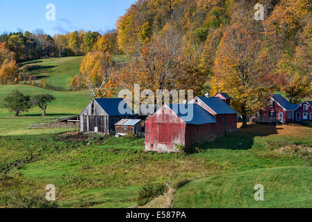 La ferme aux couleurs automnales, lecture, Vermont, Etats-Unis Banque D'Images