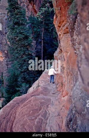 Un randonneur se bloque de façon précaire sur,Hidden Canyon Trail,Zion National Park Utah, Banque D'Images