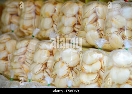 Le fruit du palmier de Palmyre Banque D'Images