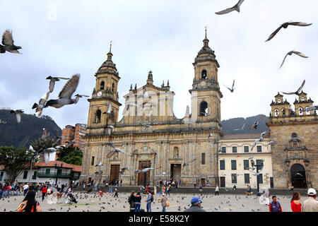 Cathédrale Primada de Bogotá, Plaza de Bolivar, Bogota, Colombie, Amérique du Sud Banque D'Images