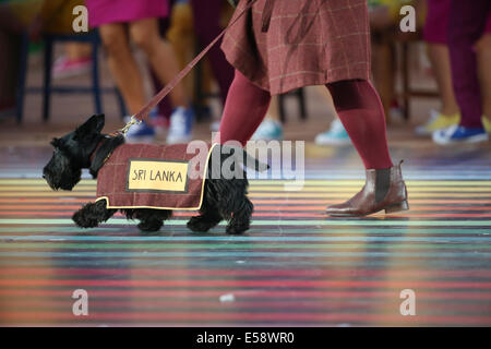 Glasgow, Ecosse, Royaume-Uni. 23 juillet, 2014. Cérémonie d'ouverture des 20e Jeux du Commonwealth à Glasgow au Celtic Park. L'un des athlètes les plus ScottishTerriers de Sri Lanka Crédit : ALAN OLIVER/Alamy Live News Banque D'Images