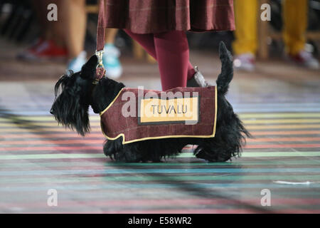 Glasgow en Écosse le 23 juil 2014. Cérémonie d'ouverture des 20e Jeux du Commonwealth à Glasgow au Celtic Park. Scottish Terrier mener des athlètes dans le stade. Credit : ALAN OLIVER/Alamy Live News Banque D'Images