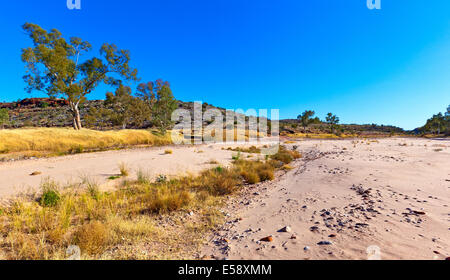 Palm Valley Centre de l'Australie Territoire du Nord Banque D'Images