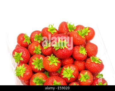 Un de Punnett anglais frais Fraises Banque D'Images