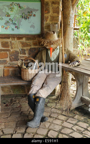 Un jardin de fruits et légumes à Rosemoor, Torrington, Devon, Angleterre du Sud-Ouest, Royaume-Uni Banque D'Images