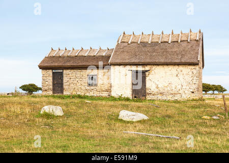 Vieille maison sur une colline dans un pré Banque D'Images