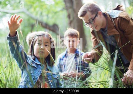 Les élèves et l'enseignant l'examen de l'herbe dans la forêt Banque D'Images